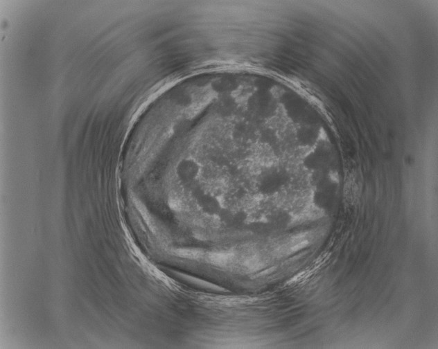 X0000057091239200509301543