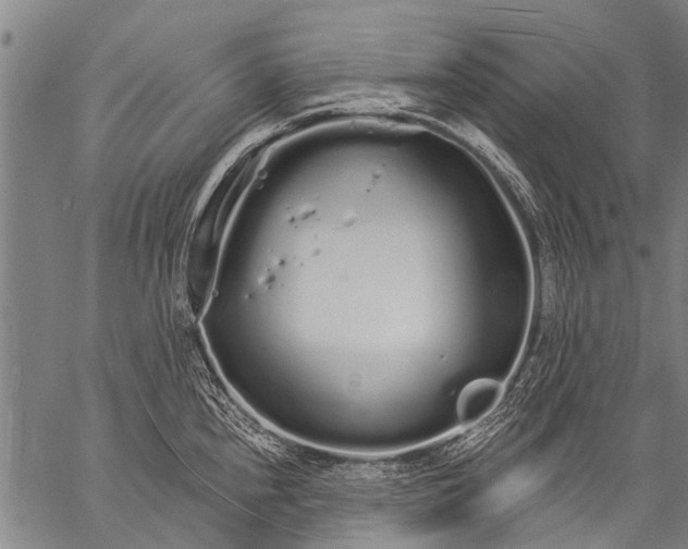 X0000057091240200509301543