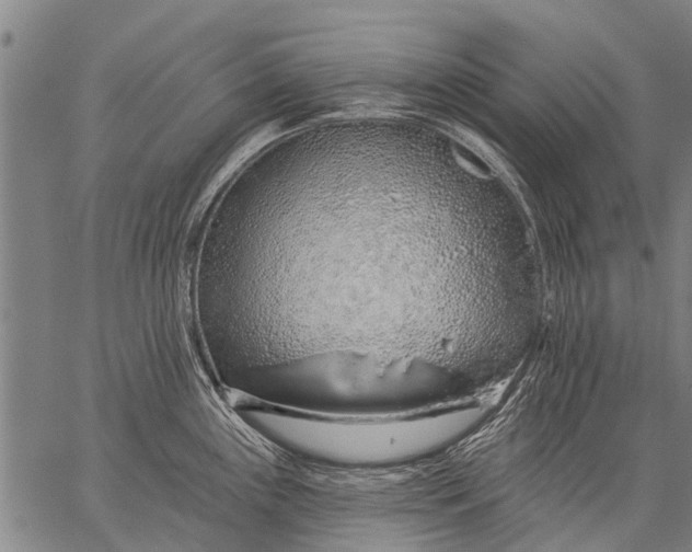 X0000057091243200509301543