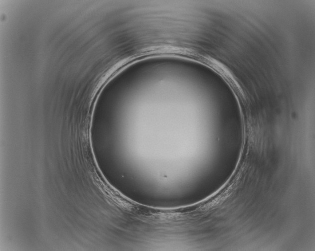 X0000057091244200509301543