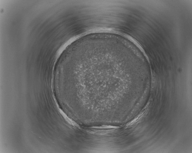 X0000057091245200509301543