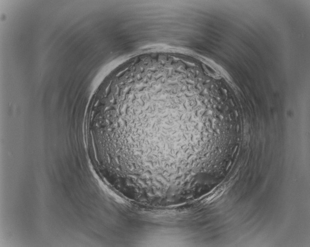 X0000057091247200509301543