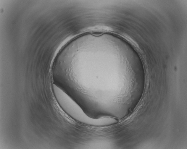 X0000057091248200509301543