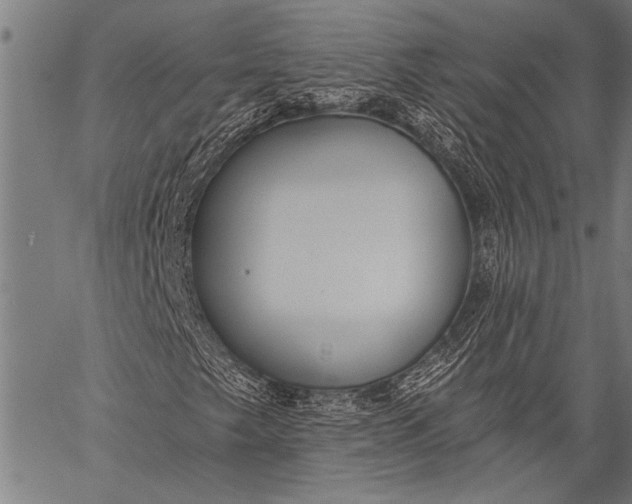 X0000057091249200509301542