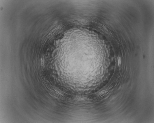 X0000057091251200509301542