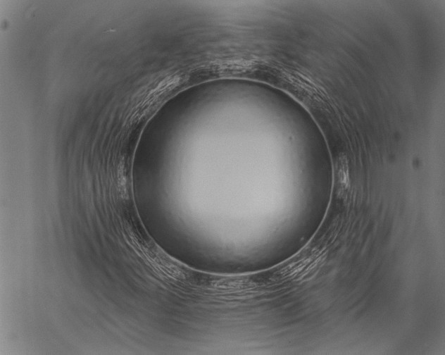 X0000057091252200509301542