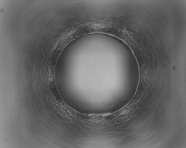 X0000057091253200509301542