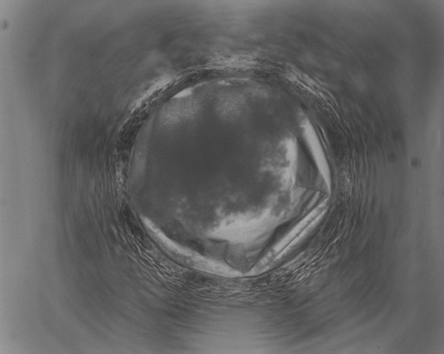 X0000057091254200509301542