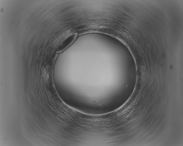 X0000057091257200509301542