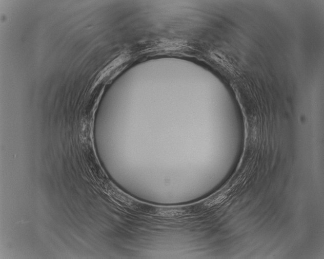 X0000057091258200509301542