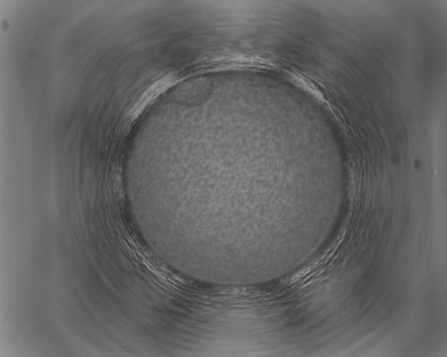 X0000057091259200509301542