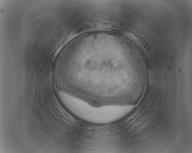 X0000057091260200509301542