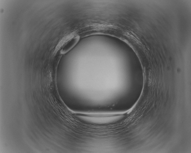 X0000057091261200509301542