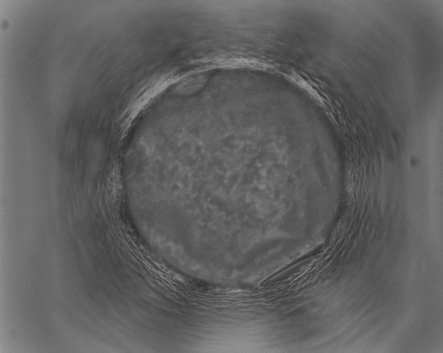 X0000057091263200509301542