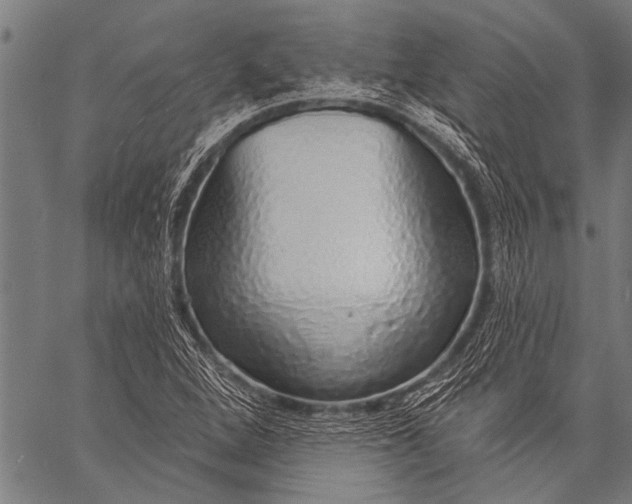 X0000057091264200509301542