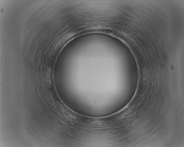 X0000057091265200509301542