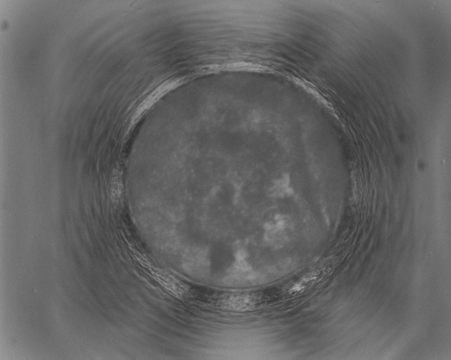 X0000057091266200509301542