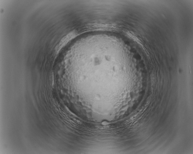 X0000057091267200509301542