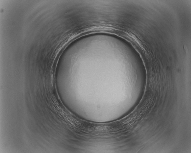 X0000057091268200509301542