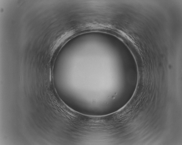 X0000057091269200509301542