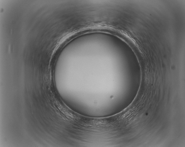 X0000057091270200509301542