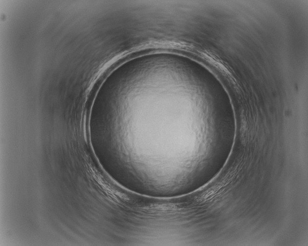 X0000057091272200509301541