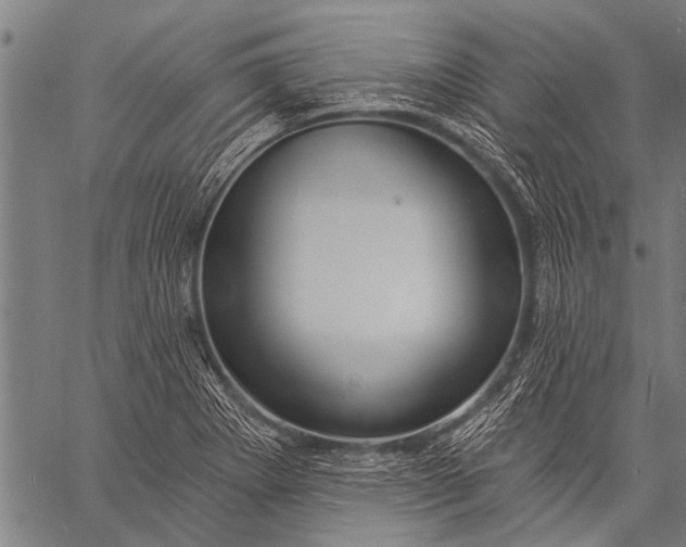 X0000057091273200509301541