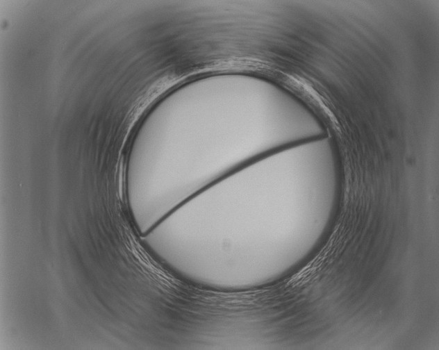 X0000057091276200509301541