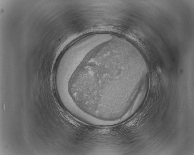 X0000057091278200509301541