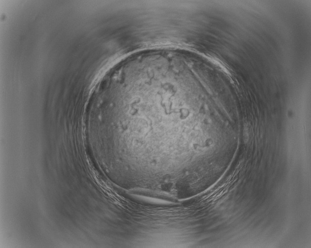 X0000057091279200509301541