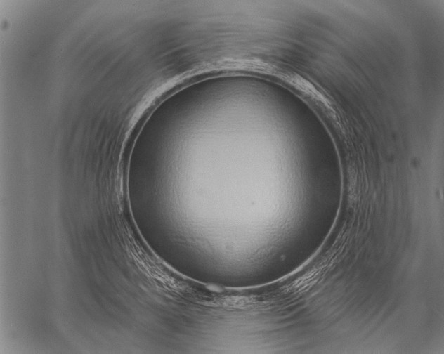 X0000057091280200509301541