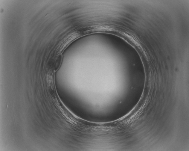 X0000057091281200509301541