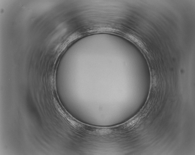 X0000057091282200509301541