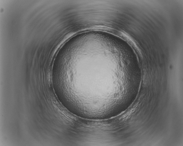 X0000057091284200509301541