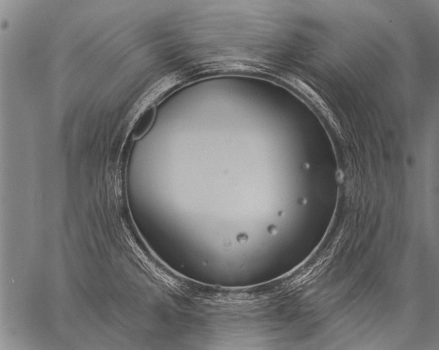 X0000057091285200509301541