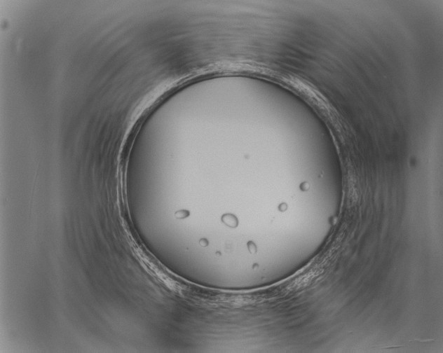 X0000057091286200509301541