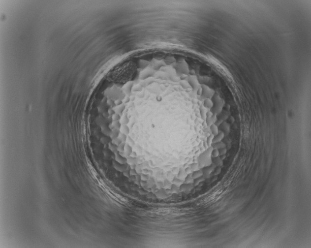 X0000057091287200509301541