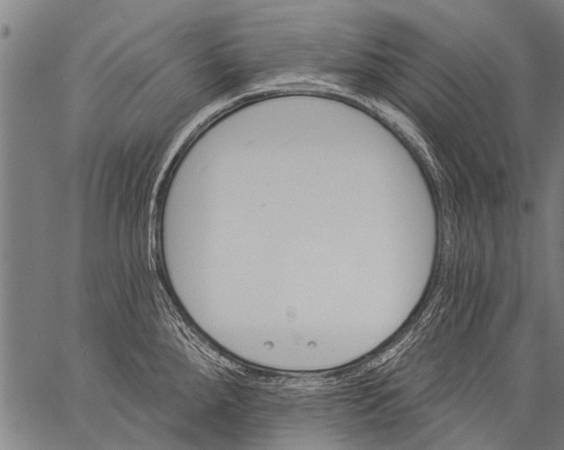 X0000057091288200509301541