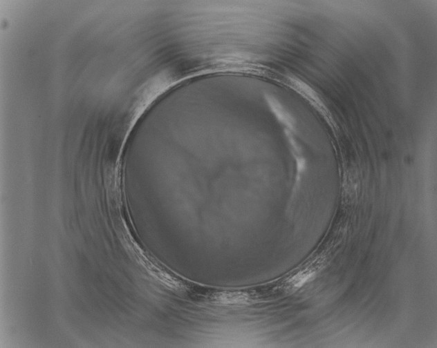 X0000057091291200509301541