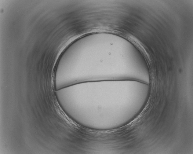 X0000057091292200509301541