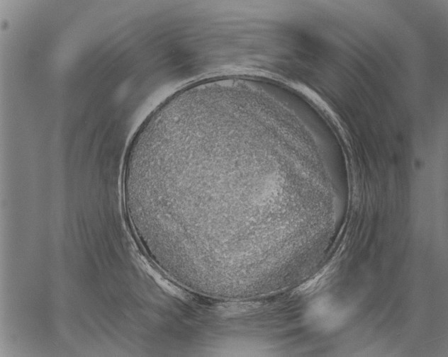 X0000057091294200509301541