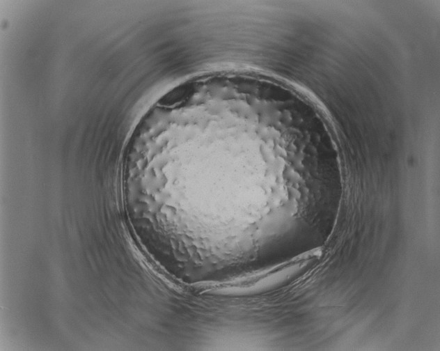 X0000057091295200509301541