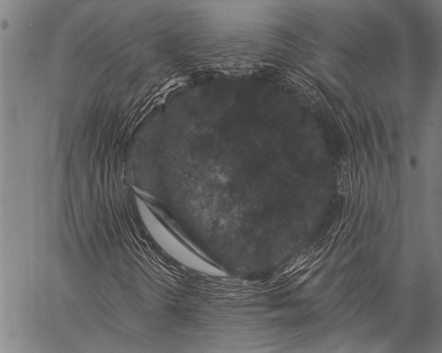 X0000057091298200509301540