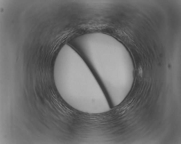 X0000057091300200509301540