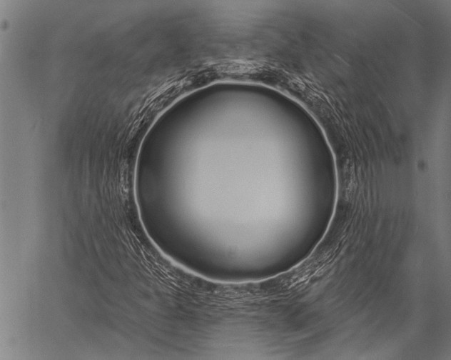 X0000057091301200509301540