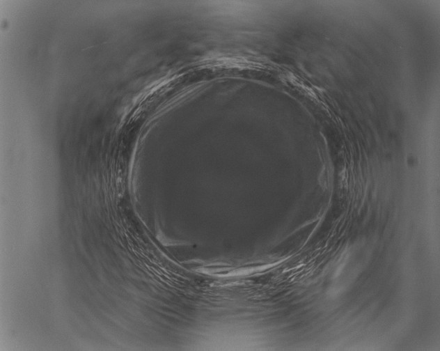 X0000057091303200509301540