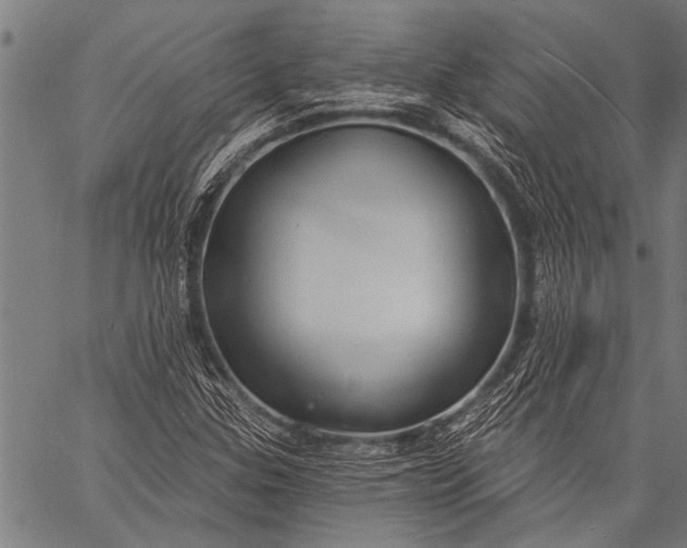 X0000057091307200509301540