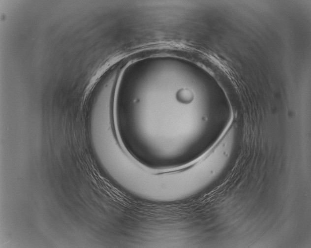 X0000057091310200509301540