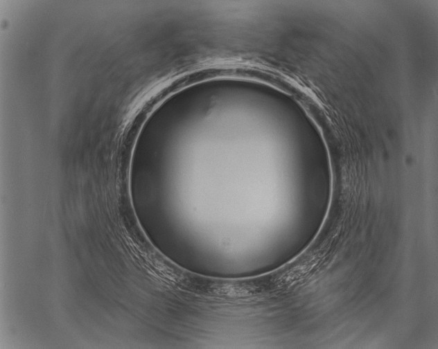 X0000057091311200509301541