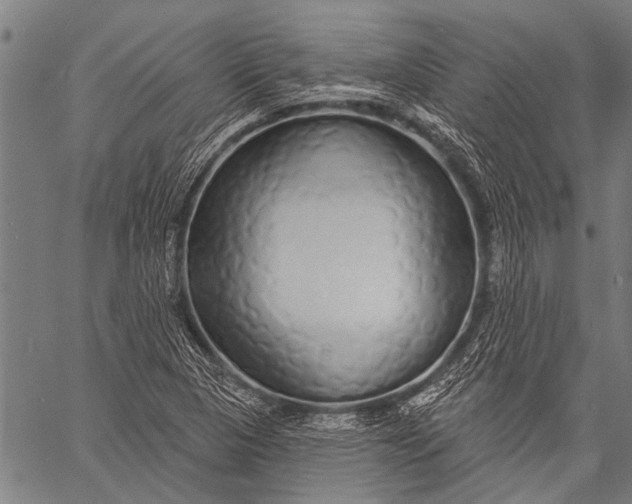 X0000057091313200509301541